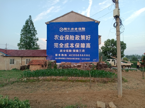 三门墙体广告为何受追捧？